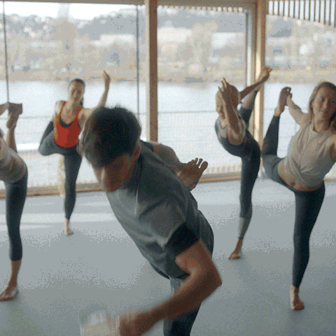 Budvar GIF