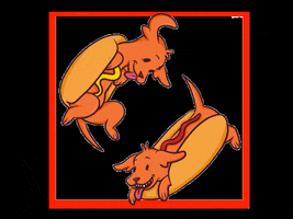 La_Ardillin dog dogs bread hotdog GIF
