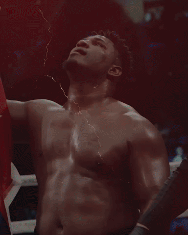 BKFC GIF