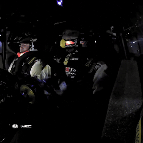 Driving Good Night GIF by FIA World Rally Championship