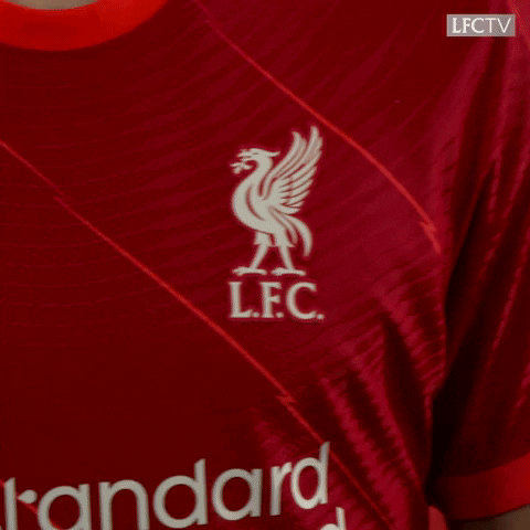 Proud Premier League GIF by Liverpool FC