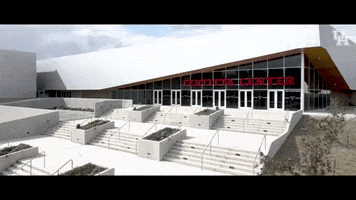 University Of Houston Basketball GIF by Coogfans