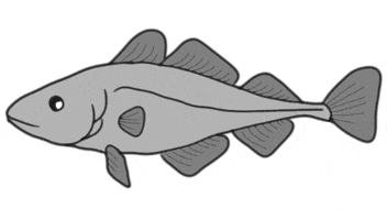 cervenav fish cervenav ryba treska GIF