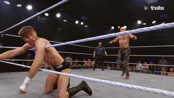 Wrestling Ring Flip GIF by Tubi