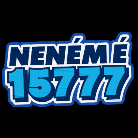 Pará GIF by MDBNacional