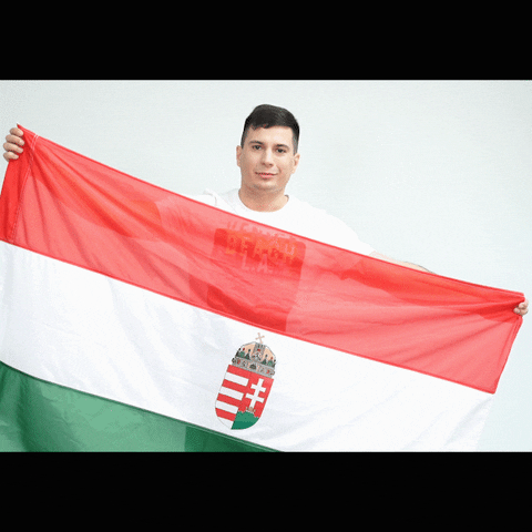 Fogarasi Gabor GIF by Jobbik Magyarországért Mozgalom