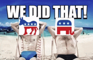 Democratic Party Trump GIF