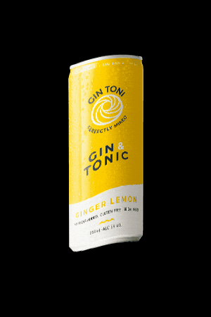 Low Calorie Cheers GIF by Gin Toni