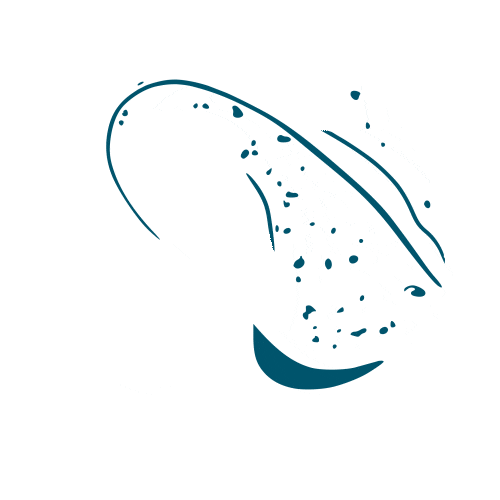 StingrayDivers Sticker