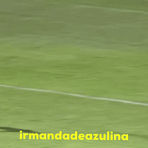 Nico Clubedoremo GIF