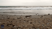 Blogger Who Went Viral With Bali Beach Trash Video Welcomes Plastics Ban