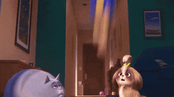 Cat Lol GIF by The Secret Life Of Pets
