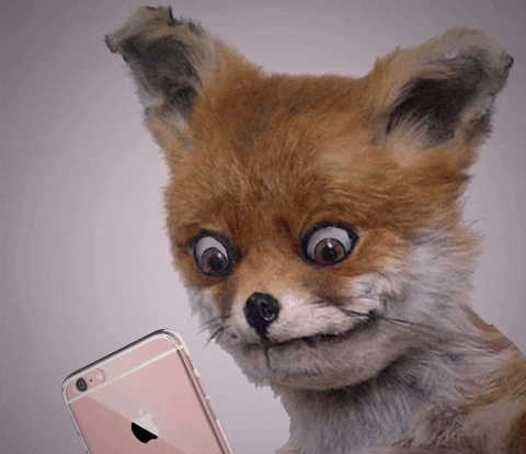 Waiting-on-the-phone GIFs - Get the best GIF on GIPHY