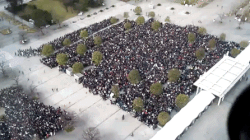 crowd