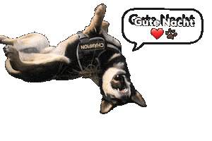 Good Night Dog Sticker