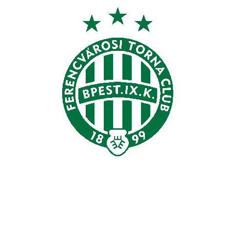 Groupama Arena Sticker