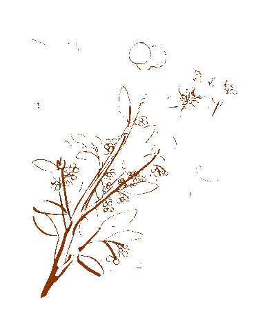 Red Chokeberry Sticker