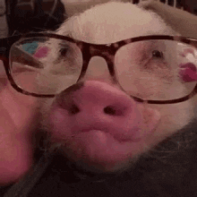 28+ Cute Backgrounds For Girls Gif Gif
