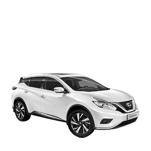 Nissan Russia Sticker