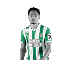 Bundesliga Austria Sticker by SK Rapid