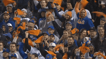 Ny Mets Baseball GIF by MLB