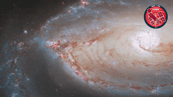 Eye Glow GIF by ESA/Hubble Space Telescope