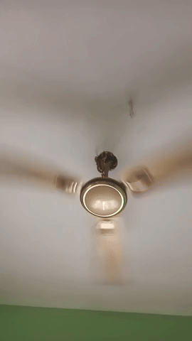 Fan GIF