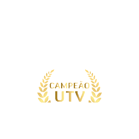 CFMOTO BRASIL Sticker