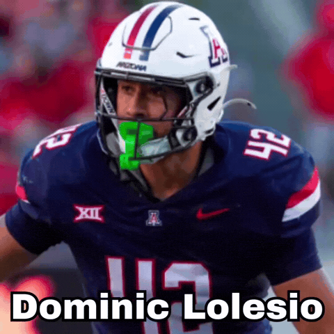 Arizona Football GIF