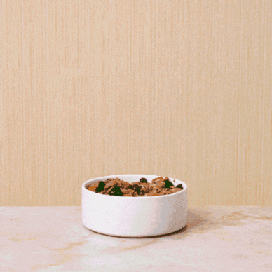 Dog Food Instinct GIF by instinctpetfood