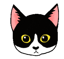 Cat ねこ Sticker