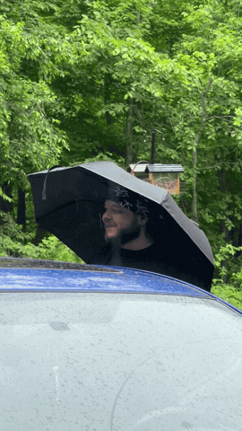 K1N GIF