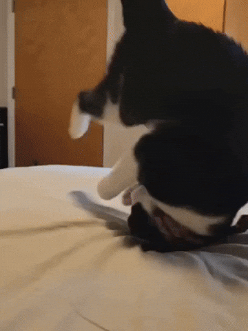 Breakdance GIF