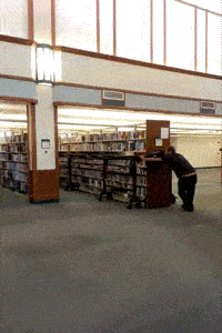 Cinematography Book Club. content media