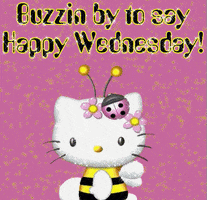 Happy Wednesday GIFs - Find & Share on GIPHY