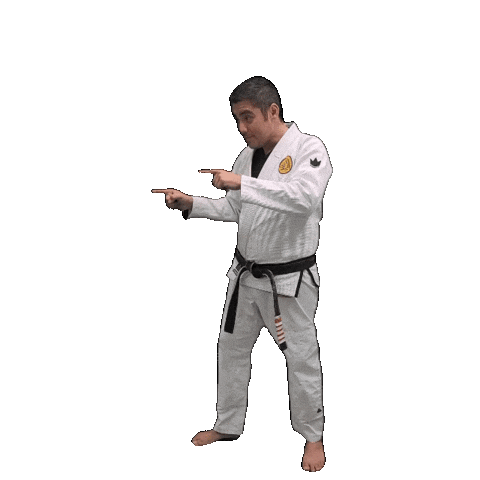 Bjj Jiujitsu Sticker by ghbrownsville