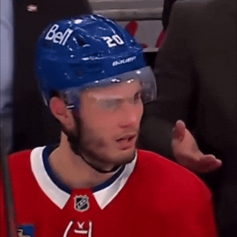 Hockey What GIF