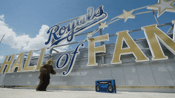 Major League Baseball Dancing GIF by Kansas City Royals