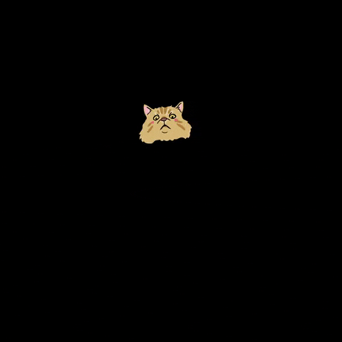 cokayene cat angry pet pissed GIF