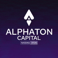 Crypto Build GIF by AlphaTON Capital