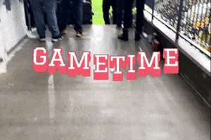 Game On Steelers GIF by Mike Hitt