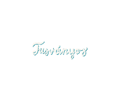 Fesztival Sticker by Tusvanyos