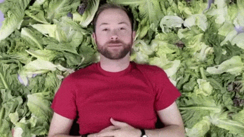 giphy.gif?cid=790b761109da8a336996503350