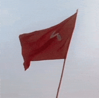 Politics Market GIF