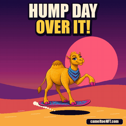Over It Wednesday GIF by CamelToe
