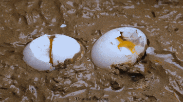 Magic Egg GIF by UnusualCooking