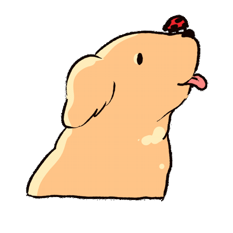 Dog Ladybug Sticker