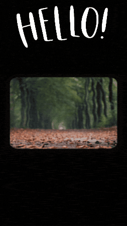 Falling Leaves September GIF by TeaCosyFolk