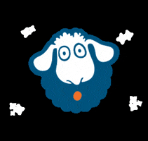 asuar communication GIF