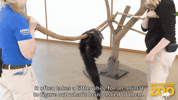 Sarcastic One Second GIF by Brookfield Zoo